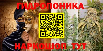 a pvp Кунгур
