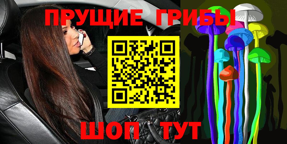 Псилоцибиновые грибы Psilocybe  Вход с VPN  Городец 