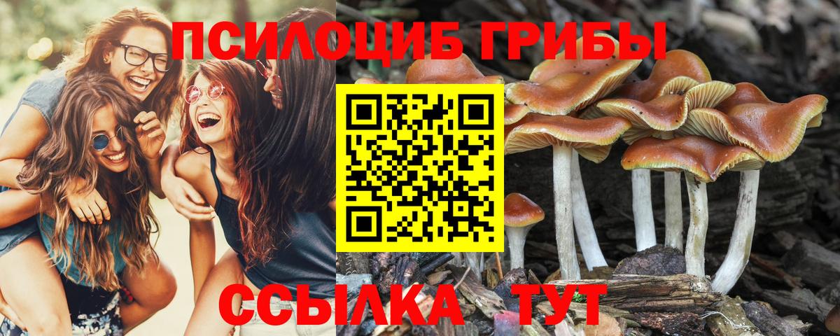 Галлюциногенные грибы Magic Shrooms Городец